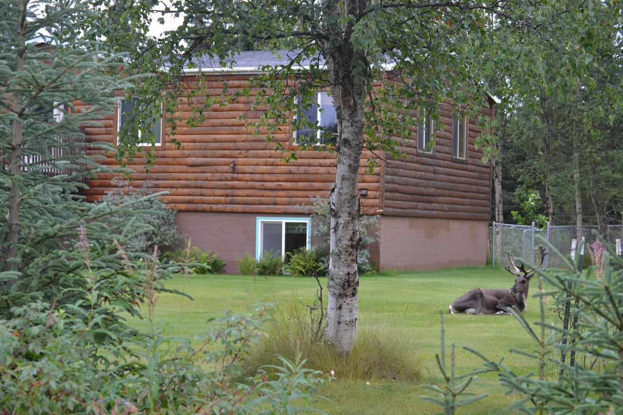 All Seasons B&B Kenai Buitenkant foto